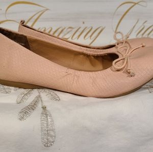 Ballet Blush Shoes